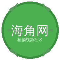海角网